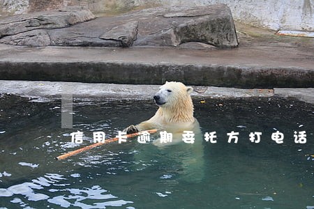 信用卡逾期委托方打电话