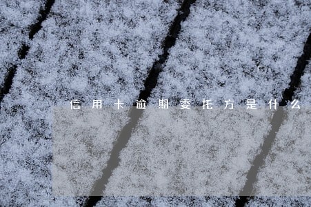 信用卡逾期委托方是什么机构 信用卡逾期委托方是什么机构