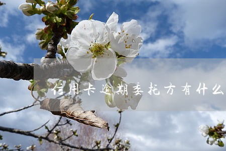 信用卡逾期委托方有什么权力 信用卡逾期委托方有什么权力