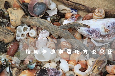 信用卡逾期委托方说只还本金 信用卡逾期委托方说只还本金