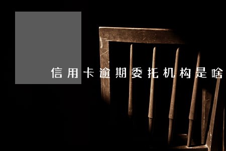信用卡逾期委托机构是啥意思