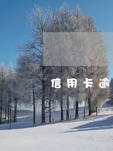 信用卡逾期委托第三方上门催收 信用卡逾期委托第三方上门催收