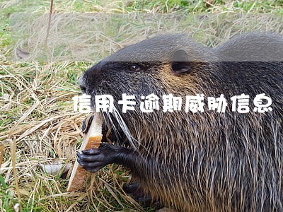 信用卡逾期威胁信息 信用卡逾期威胁信息