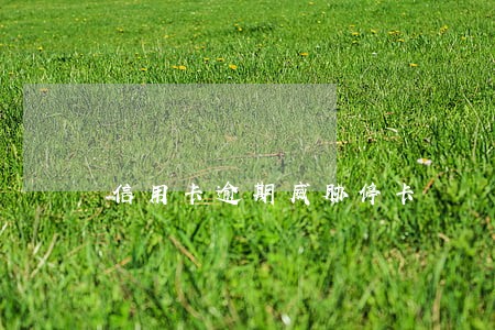 信用卡逾期威胁停卡