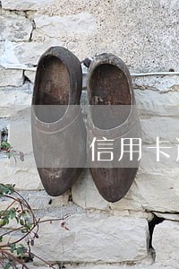 信用卡逾期子女上不了学吗