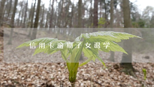 信用卡逾期子女退学 信用卡逾期子女退学