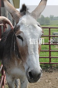 信用卡逾期字体 信用卡逾期字体