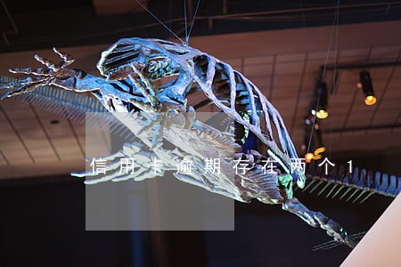 信用卡逾期存在两个1 信用卡逾期存在两个1