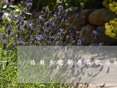 信用卡逾期存在微信的钱会划扣吗 信用卡逾期存在微信的钱会划扣吗