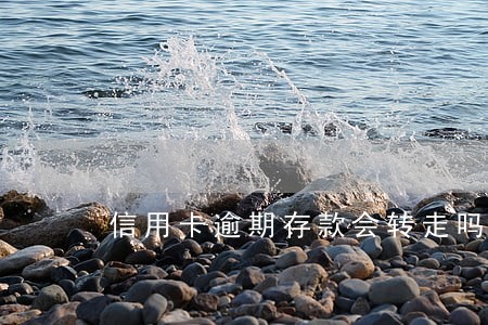 信用卡逾期存款会转走吗 信用卡逾期存款会转走吗