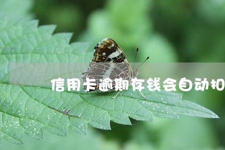 信用卡逾期存钱会自动扣吗