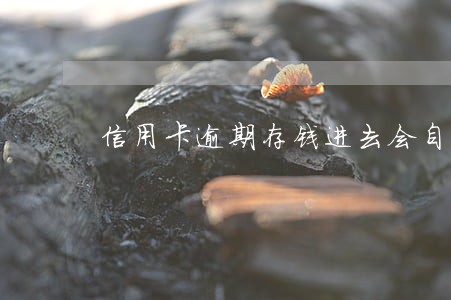信用卡逾期存钱进去会自动扣吗 信用卡逾期存钱进去会自动扣吗