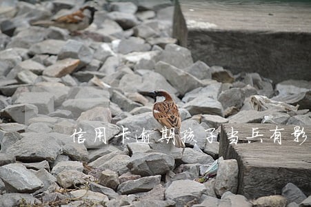 信用卡逾期孩子当兵有影响不 信用卡逾期孩子当兵有影响不