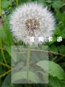 信用卡逾期孩子能考军校吗