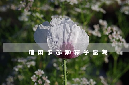 信用卡逾期孩子高考 信用卡逾期孩子高考