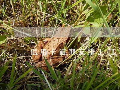 信用卡逾期安排上门 信用卡逾期安排上门