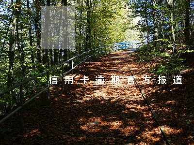 信用卡逾期官方报道 信用卡逾期官方报道