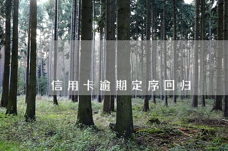 信用卡逾期定序回归