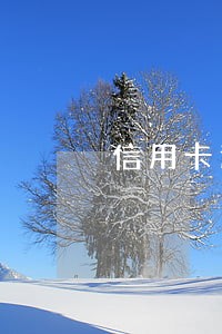 信用卡逾期宜人贷能下款不 信用卡逾期宜人贷能下款不