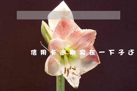 信用卡逾期实在一下子还不上 信用卡逾期实在一下子还不上