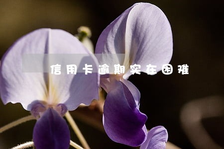 信用卡逾期实在困难