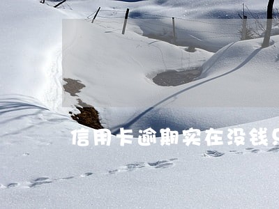 信用卡逾期实在没钱只能下月还