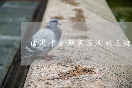 信用卡逾期实在没钱还被起诉 信用卡逾期实在没钱还被起诉
