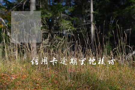 信用卡逾期实地核访