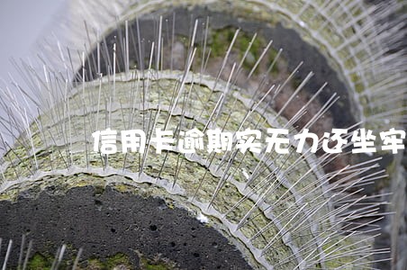 信用卡逾期实无力还坐牢吗