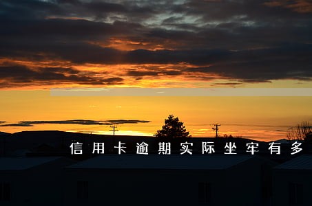 信用卡逾期实际坐牢有多少人 信用卡逾期实际坐牢有多少人