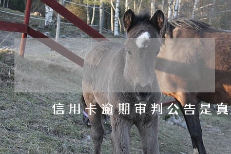 信用卡逾期审判公告是真的吗 信用卡逾期审判公告是真的吗