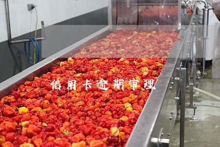 信用卡逾期审理