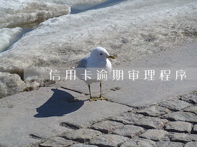 信用卡逾期审理程序 信用卡逾期审理程序