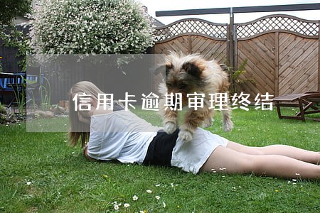 信用卡逾期审理终结