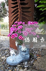 信用卡逾期客户二次承诺 信用卡逾期客户二次承诺