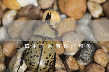 信用卡逾期客户增多 信用卡逾期客户增多