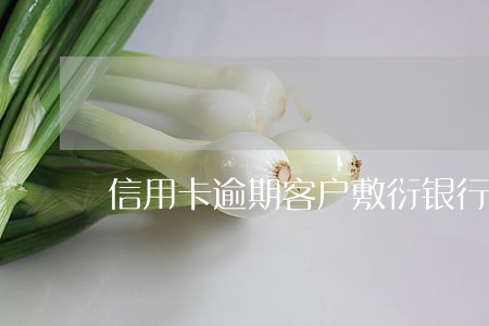 信用卡逾期客户敷衍银行还款