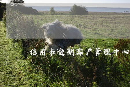 信用卡逾期客户管理中心