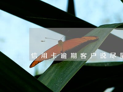 信用卡逾期客户说尽量吧怎么回答 信用卡逾期客户说尽量吧怎么回答