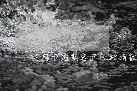 信用卡逾期客户风控指数 信用卡逾期客户风控指数