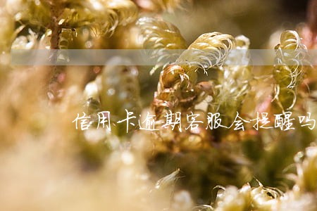 信用卡逾期客服会提醒吗 信用卡逾期客服会提醒吗