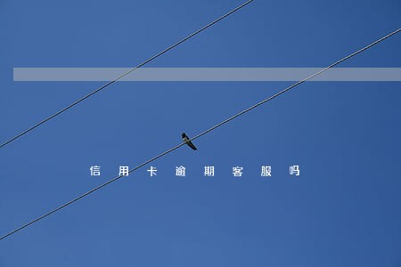 信用卡逾期客服吗 信用卡逾期客服吗