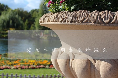 信用卡逾期客服好做么 信用卡逾期客服好做么