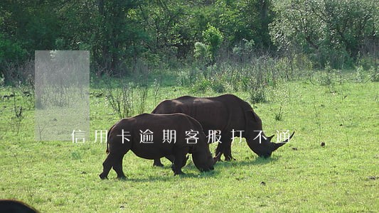 信用卡逾期客服打不通 信用卡逾期客服打不通
