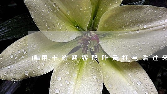 信用卡逾期客服昨天打电话过来 信用卡逾期客服昨天打电话过来
