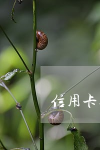信用卡逾期客服查户口 信用卡逾期客服查户口