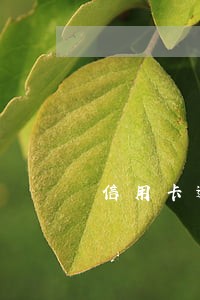 信用卡逾期客服电话打不了 信用卡逾期客服电话打不了