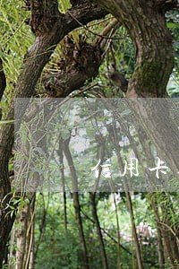 信用卡逾期客服让借亲戚朋友还款
