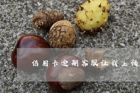 信用卡逾期客服让我上传流水 信用卡逾期客服让我上传流水