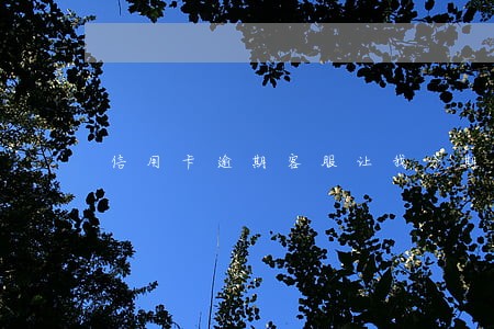 信用卡逾期客服让我分期 信用卡逾期客服让我分期
